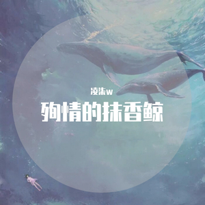 北条麻妃精品999
